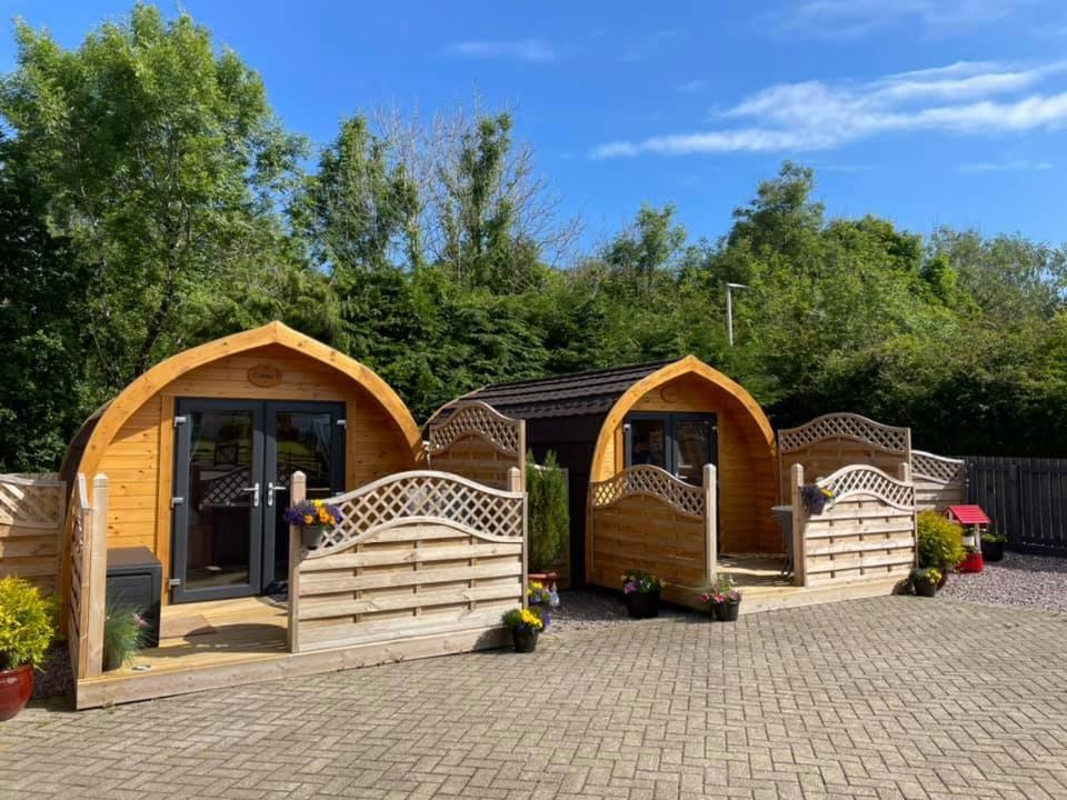 Conifer Cabins Fort William Exterior foto